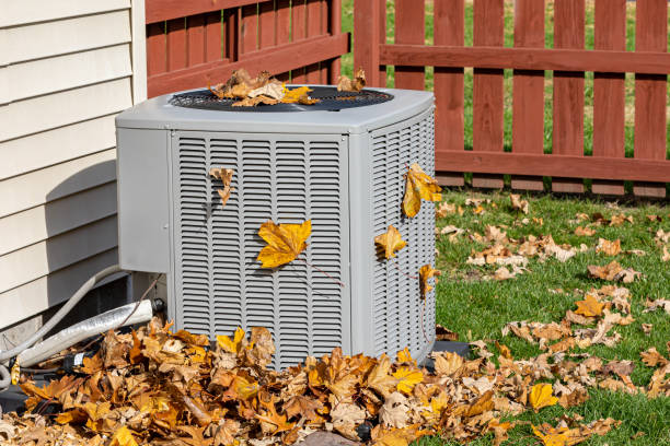 Best HVAC Companies Near Me  in Chisholm, ME